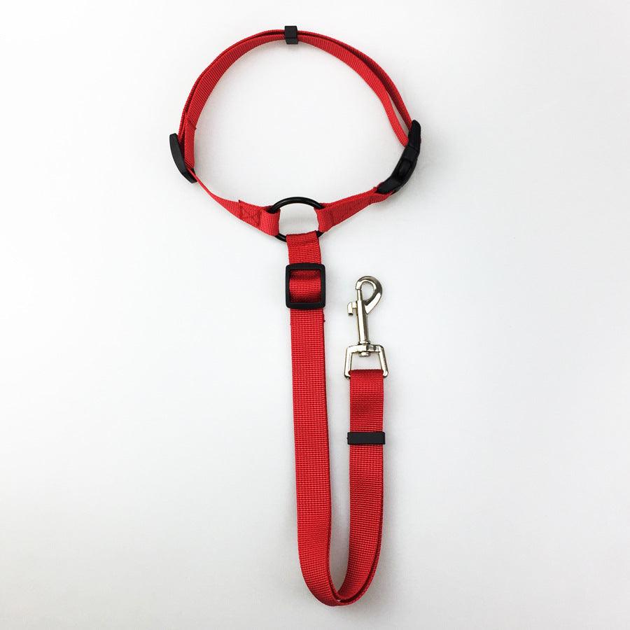 Secureflex Pet Safety Leash