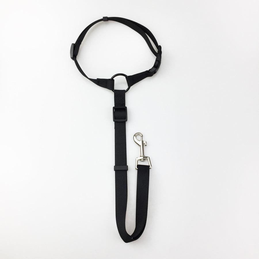 Secureflex Pet Safety Leash