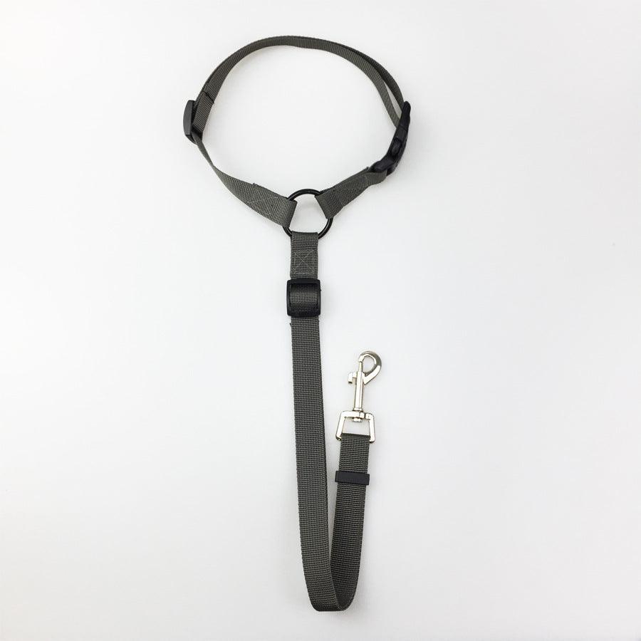 Secureflex Pet Safety Leash